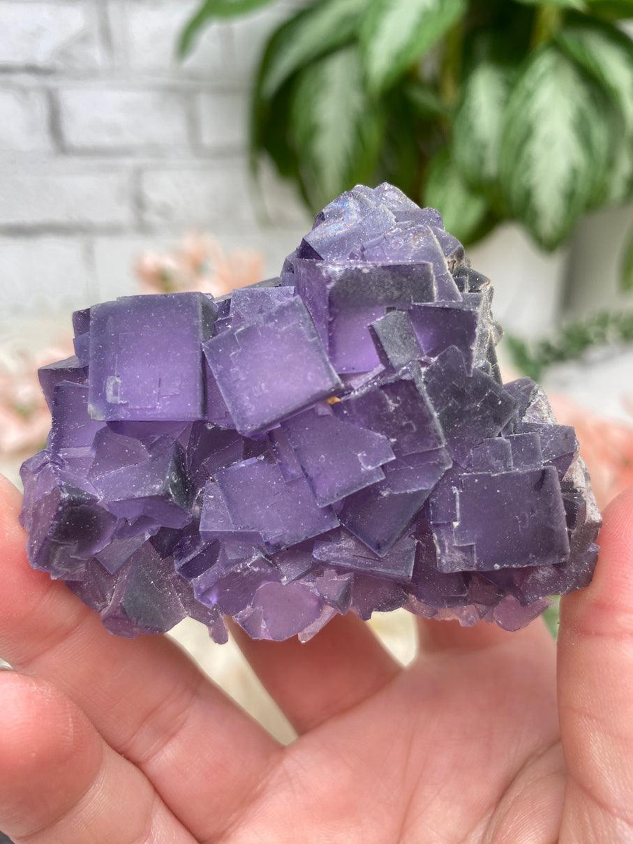 small-cubic-purple-fluorite-china