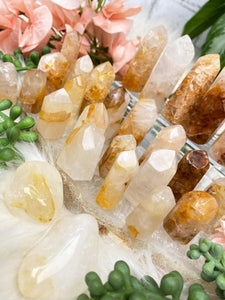 Contempo Crystals - small-golden-healer-crystals - Image 6