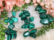 Load image into Gallery: Contempo Crystals - small-green-malachite-tumbles - Image 8