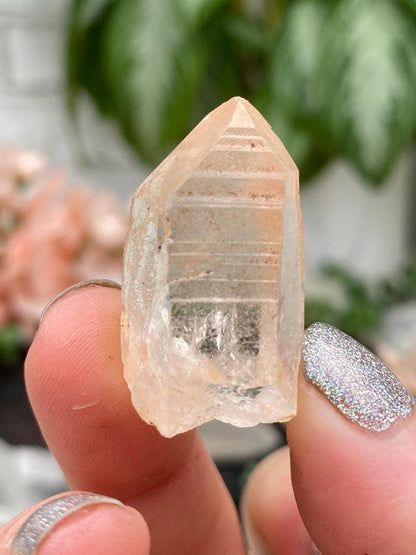 Brazil Lemurian Quartz