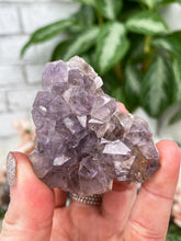 Load image into Gallery: Contempo Crystals - small-indian-amethyst-cluster - Image 26