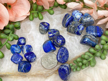 Load image into Gallery: Contempo Crystals - small-lapis-tumbles-for-sale - Image 3