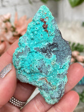 Load image into Gallery: Contempo Crystals - small-mexico-chrysocolla - Image 11