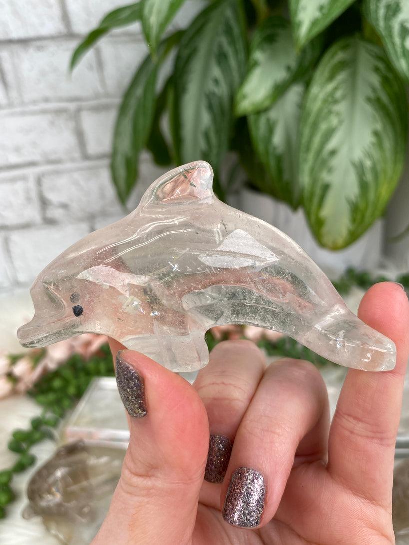 small-smoky-quartz-dolphin