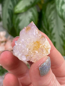 Contempo Crystals - small-spirit-quartz-with-yellow - Image 15