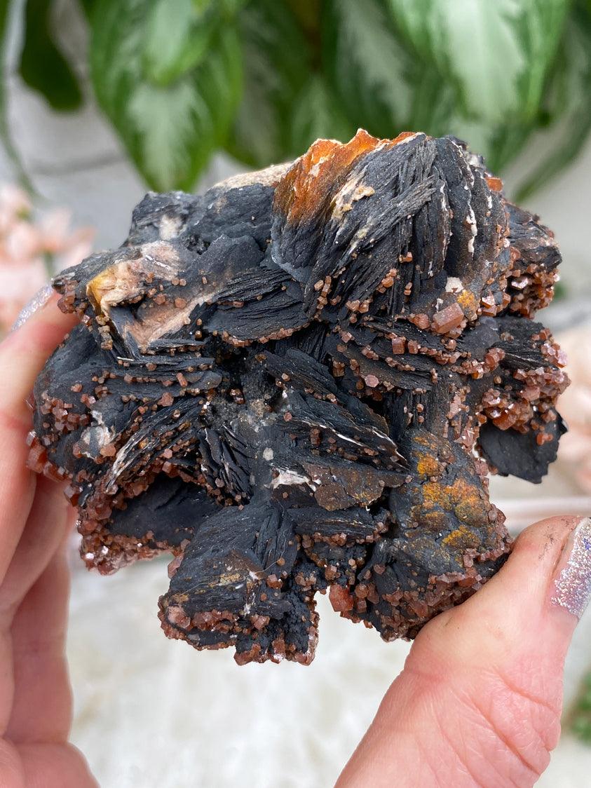 small-vanadinite-on-black-baryte
