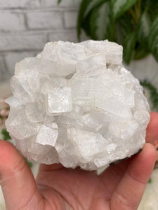 Contempo Crystals - small-white-apophyllite - Image 3