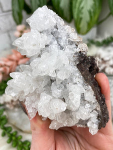 Contempo Crystals - small-white-aragonite-cluster - Image 12