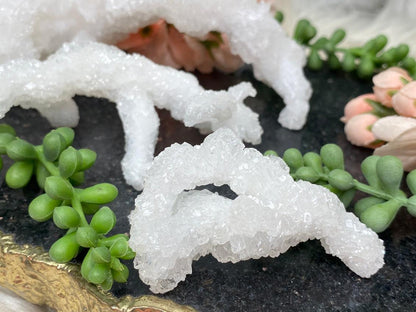 small-white-aragonite