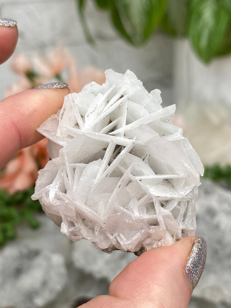 small-white-bladed-calcite
