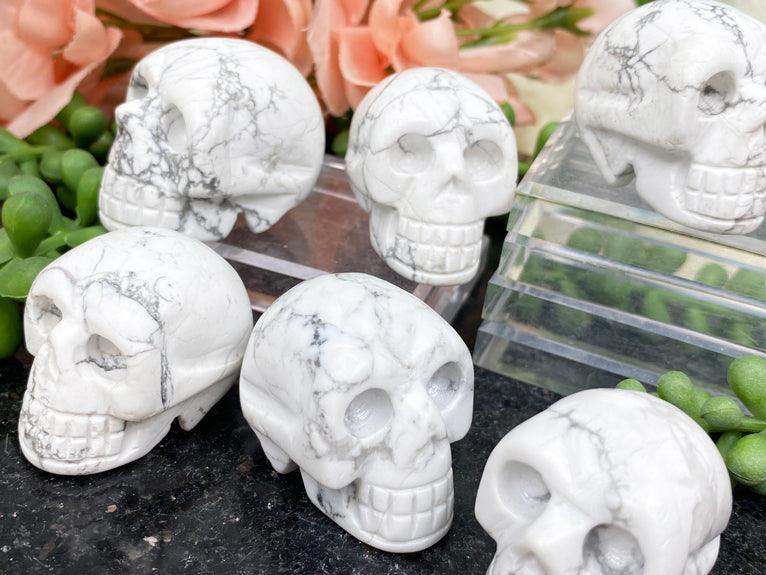 Contempo Crystals -    small-white-howlite-skulls - Image 1