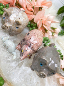 Contempo Crystals - soapstone-animals-for-sale - Image 9