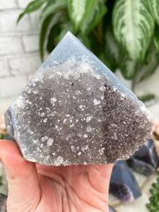 Contempo Crystals - sparkle-gray-agate-quartz-point - Image 8