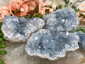 Contempo Crystals - sparkly-blue-celestite-clusters - Image 2