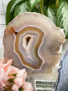 Contempo Crystals - standing-tan-agate-slice - Image 7