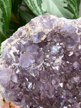 Load image into Gallery: Contempo Crystals - sugar-druzy-on-amethyst - Image 6