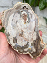 Load image into Gallery: Contempo Crystals - tan-brown-petrified-wood-slice - Image 12