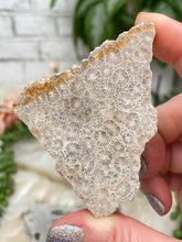 Load image into Gallery: Contempo Crystals - tan-fossil-coral-slice - Image 10