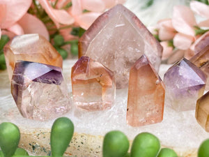 Contempo Crystals - tiny-dream-coat-amethyst-points - Image 4