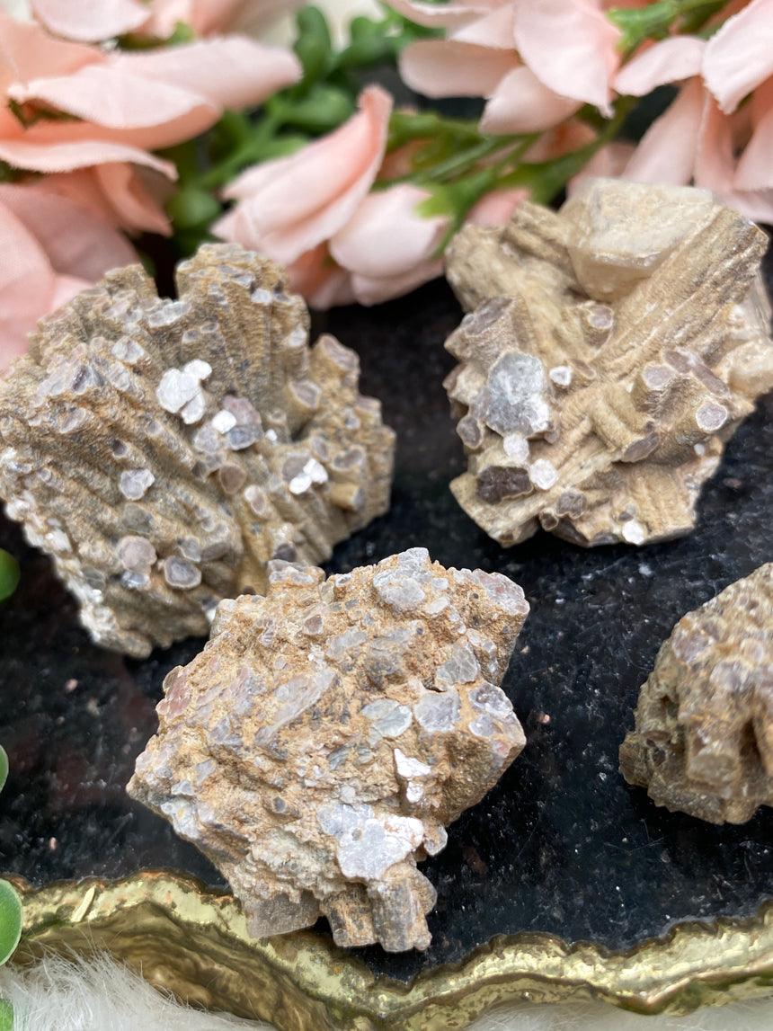 tiny-muscovite-specimens