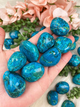 Load image into Gallery: Contempo Crystals - tumbled-chrysocolla-stones - Image 6