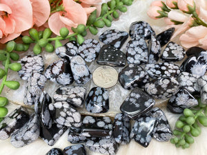 Contempo Crystals - Tumbled Snowflake Obsidian - Image 3