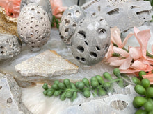 Load image into Gallery: Contempo Crystals - unique-fossil-coral - Image 5