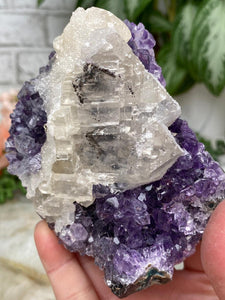 Contempo Crystals - uruguay-purple-amethyst-with-druzy-calcite - Image 10