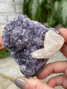 Contempo Crystals - white-calcite-on-purple-uruguay-amethyst - Image 16