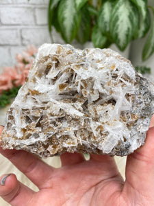 Contempo Crystals - white-celestite-with-tan-cubic-fluorite - Image 16