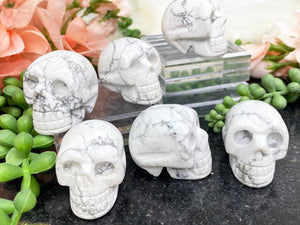 Contempo Crystals - white-howlite-skulls - Image 3