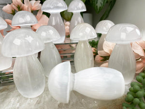Contempo Crystals - white-selenite-mushrooms - Image 5