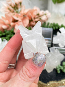 Contempo Crystals - white-stegosaurus-crystal-face - Image 4