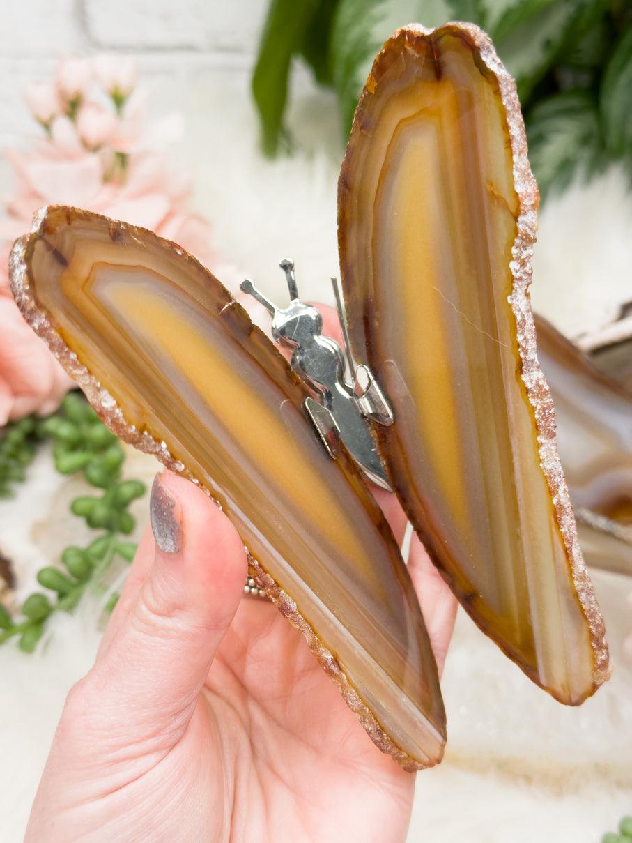 yellow-agate-slice-butterfly
