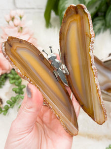 Contempo Crystals - yellow-agate-slice-butterfly - Image 10