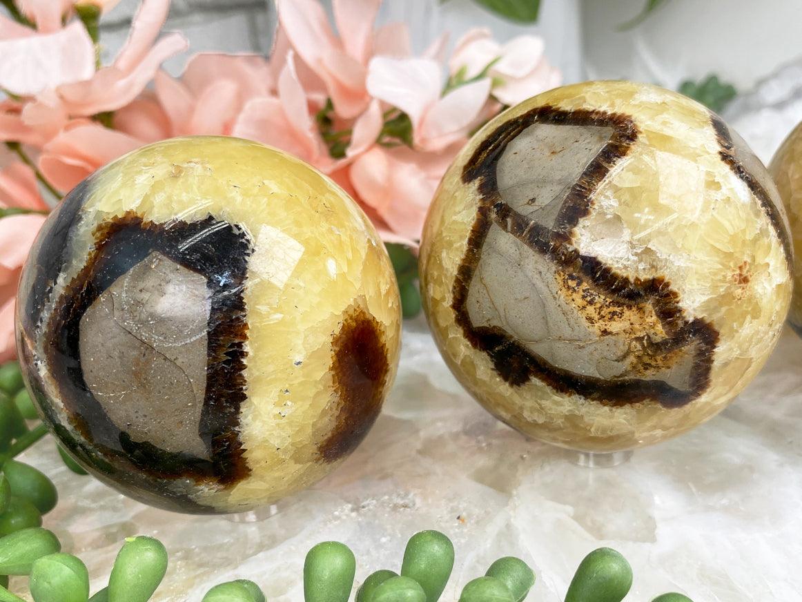 yellow-brown-septarian-spheres