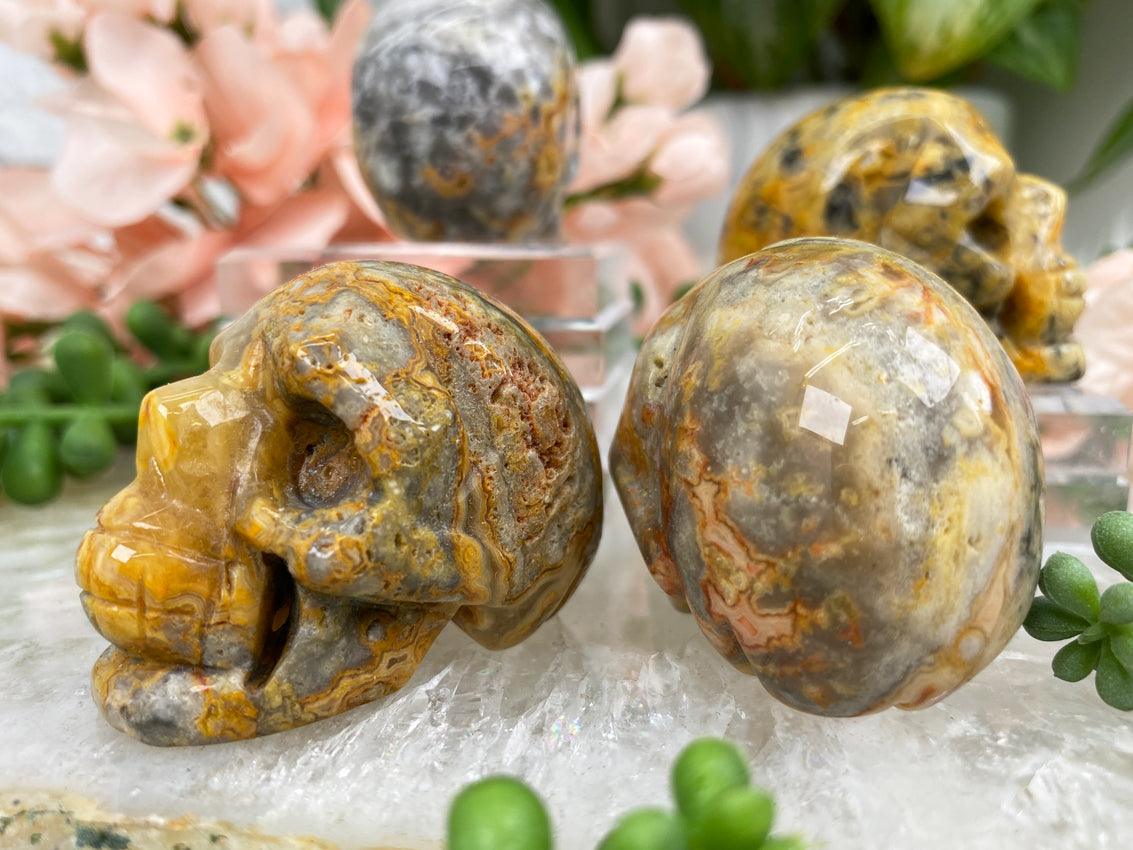 yellow-crazy-lace-agate-skull