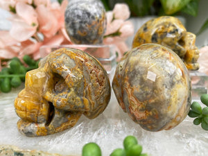 Contempo Crystals - yellow-crazy-lace-agate-skull - Image 7