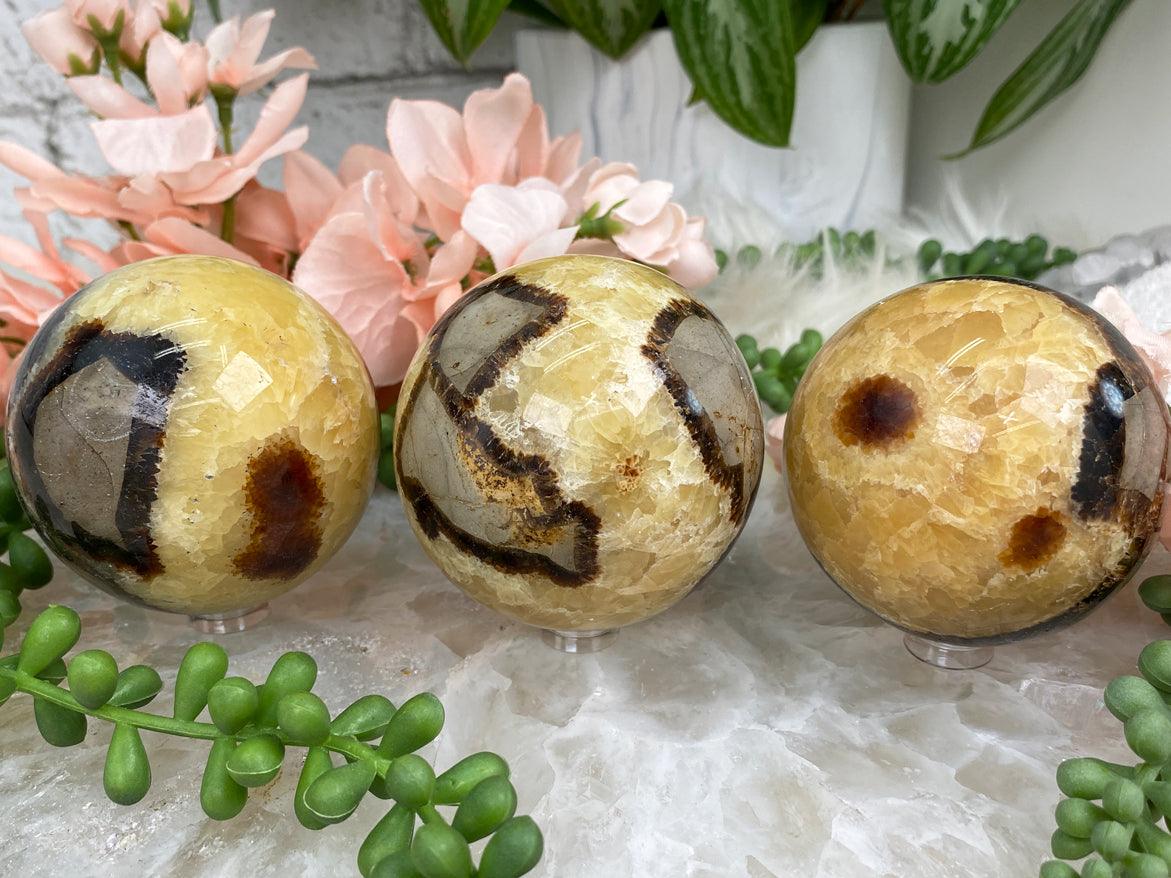 yellow-septarian-spheres