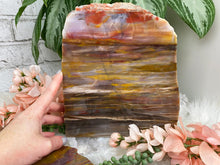 Load image into Gallery: Contempo Crystals - yellow-tan-petrified-wood-slab - Image 3