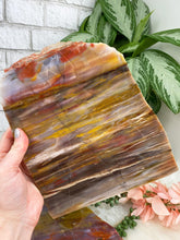 Load image into Gallery: Contempo Crystals - yellow-tan-petrified-wood-slice - Image 5